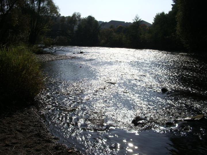 07.10.2005 14-11-40_0388 